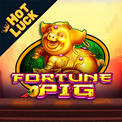 Fortune Pig
